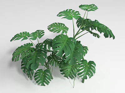Lush Green Shrub With Large Tropical Leaves And Vibrant Foliage 3d model