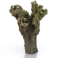 Old Tree Stump Featuring Branched Trunk Moss Covered Surface And Growing Mushrooms With Clear Texture