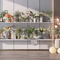 Various Flowers In Different Material Vases On White Shelves With Decorative Lights And Wooden Floor