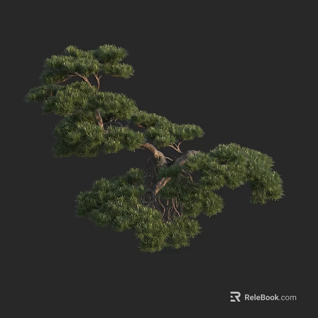 Beautiful Lush Green Arbor With Curved Branches And Dense Foliage 3d model 