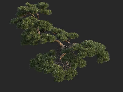 Beautiful Lush Green Arbor With Curved Branches And Dense Foliage 3d model