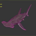 Realistic 3D Rendered Hammerhead Shark With Unique Hammer Shaped Head and Sharp Fins