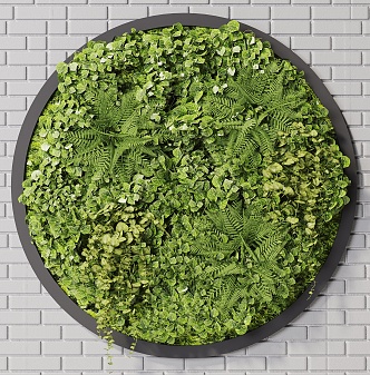 Modern Plant Wall 3d model