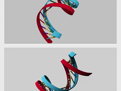 Colorful DNA Double Helix Decorative Ornament Set With Red Blue Yellow Metallic Details 3d model