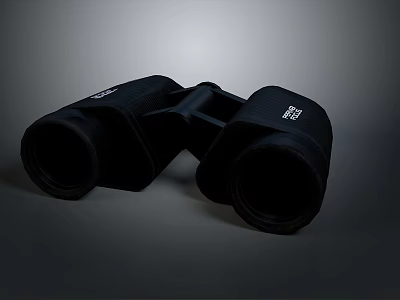 Scenic Landscape Viewed Through High Quality Black Binoculars 3d model