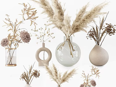 Natural Dried Flower Arrangements in Minimalist Ceramic Glass Vases with Pampas Grass and Eucalyptus 3d model
