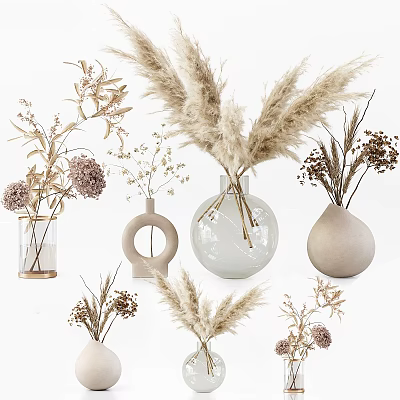 Natural Dried Flower Arrangements in Minimalist Ceramic Glass Vases with Pampas Grass and Eucalyptus 3d model