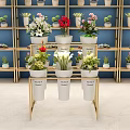 Stylish Garden Decor With Metal Frame Plant Stand And Various Potted Flowers