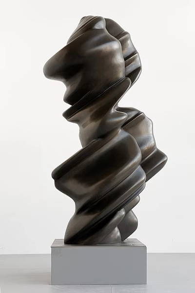 Unique Modern Rockery Stone Sculpture With Twisted Spiral Black Design And Artistic Shape 3d model
