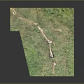 Grassland Scene Model With Lush Green Grass And White Path Details
