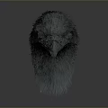 Detailed 3D Rendered Emu Head With Textured Feathers On Gray Background