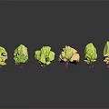 Low Poly Green And Yellow Plants With Various Shapes On Dark Reflective Background