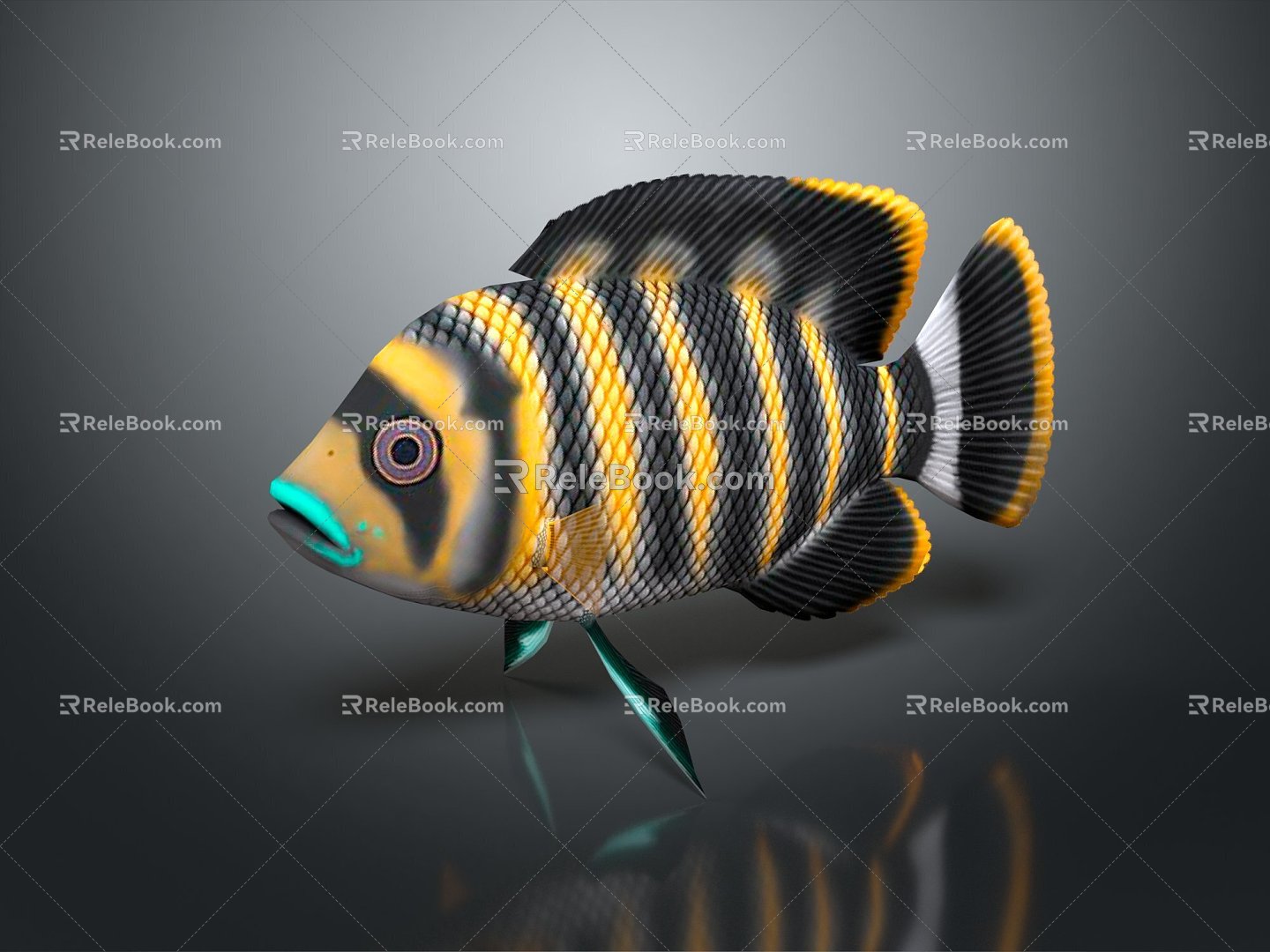 Modern Fish Tilapia Butti Kofiri Fish Tropical Fish Ornamental Fish 3d model