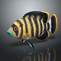 Modern Fish Tilapia Butti Kofiri Fish Tropical Fish Ornamental Fish 3d model