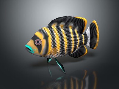 Modern Fish Tilapia Butti Kofiri Fish Tropical Fish Ornamental Fish 3d model