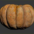 Fresh Orange Pumpkin With Smooth Texture On Dark Reflective Background 3d model