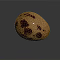 Fresh Quail Egg With Brown Spots On Smooth Surface Against Gray Background With Reflection