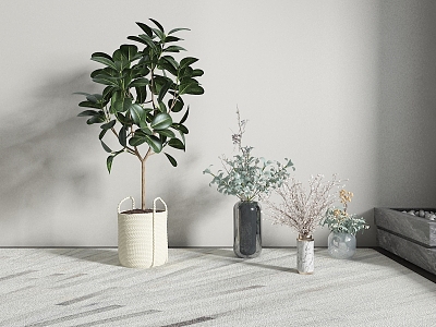 potted plant 3d model