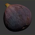 Fresh Purple Pink Fig with Water Droplets on Surface Against Gray Background