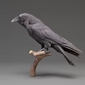 Realistic Black Raven Perched On Wooden Branch With Neutral Background