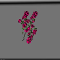 Beautiful Vine With Pink Flowers And Green Leaves On White Background