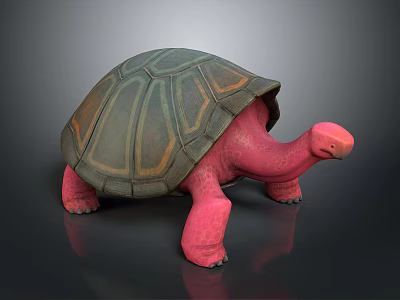 Turtle Character 3D Model with Pink Body and Green Brown Shell 3d model
