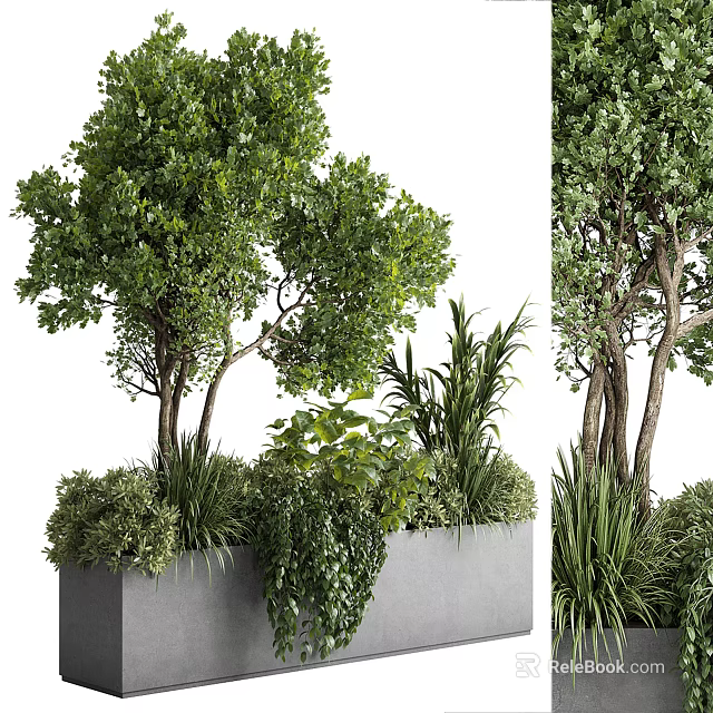Lush Green Leafy Bonsai Potted Plants In Gray Planter With Mixed Foliage 3d model 