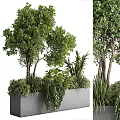 Lush Green Leafy Bonsai Potted Plants In Gray Planter With Mixed Foliage