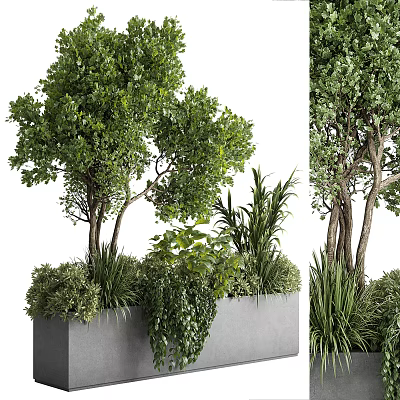 Lush Green Leafy Bonsai Potted Plants In Gray Planter With Mixed Foliage 3d model