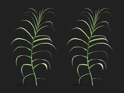 Green Aquatic Plants With Long Slender Leaves And Two Stalks 3d model