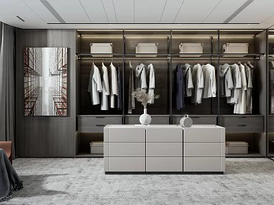 Modern Closet Interior Design Featuring Hanging Clothes Drawers And Decorative Painting 3d model