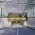 Underground Road Facility With Glass Roof Purple Flowers White Pillars Arrow Lines And City Link