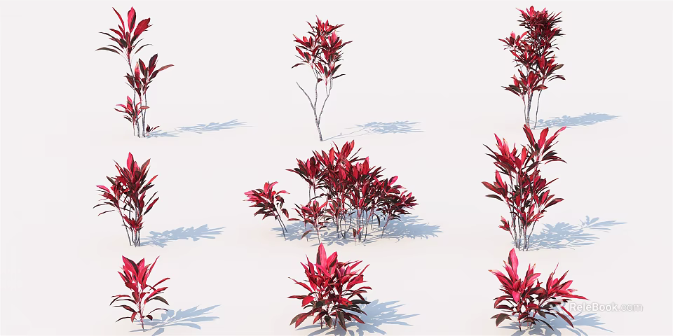 Red Leafy Shrubs Various Types Displayed On White Background With Natural Shadows 3d model 