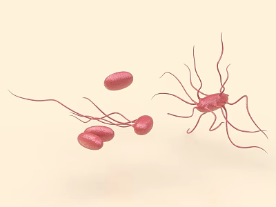 Red Microbe Inspired Decorative Ornament Set With Elongated Projections And Oval Forms 3d model