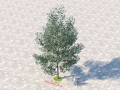 Arbor With Lush Green Leaves And Straight Trunk On Paved Outdoor Ground With Grass Base 3d model