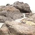 stone landscape stone beach stone rock stone 3d model