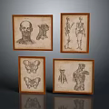Four Framed Vintage Anatomical Illustrations Featuring Human Organs And Hair Details