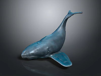 Detailed Blue Whale Sculpture Model With Shiny Surface On Dark Background 3d model