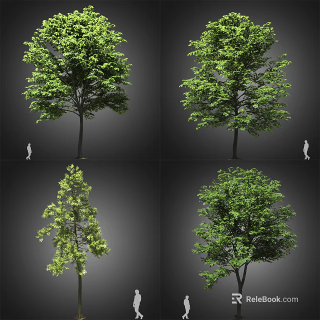 Various Arbor Tree Forms With Green Foliage And Human Figure For Scale 3d model