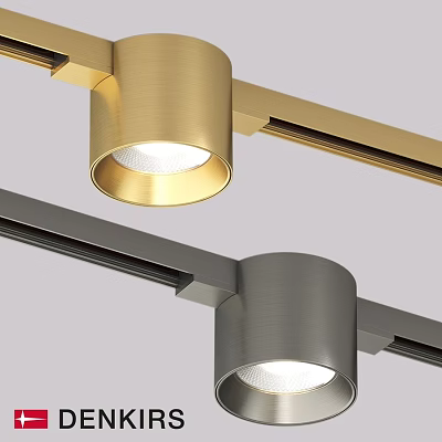 Modern Track Mounted Downlights And Spotlights In Brushed Brass And Satin Nickel 3d model