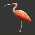 Modern Flamingo 3d model