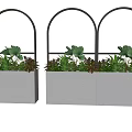 Three White Rectangular Planters With Black Arched Frames Filled With Green Plants And Succulents