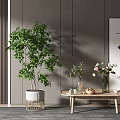 Modern Living Room Coffee Table With Green Plant Vases Flowers And Decorative Items