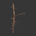Natural Wooden Driftwood Branch Featuring Rough Surface Spikes And Forks On Dark Background