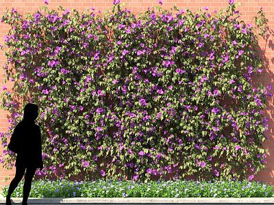 Bougainville Rhododendron Shenzhen Climbing Vine Fence Wall model