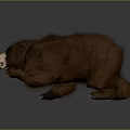 Realistic Brown Bear 3D Model With Thick Fur Standing On Gray Background 3d model