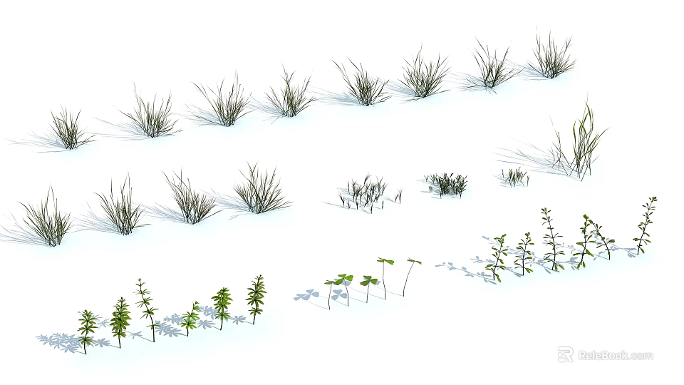 Various Types of Fresh Garden Herbs and Grasses in Natural Growth Forms 3d model 