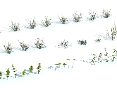 Various Types of Fresh Garden Herbs and Grasses in Natural Growth Forms 3d model