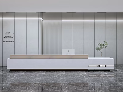 Modern Minimalist Reception Area with White Wooden Desk Light Wall Marble Floor and Green Plant 3d model
