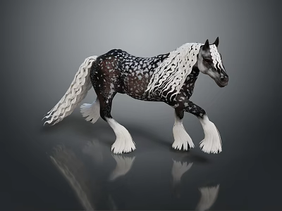Black And White Horse With Long White Mane And Tail White Hooves Walking With Reflection 3d model